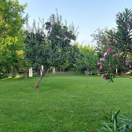 קופר Apartment Oaza Relax מראה חיצוני תמונה